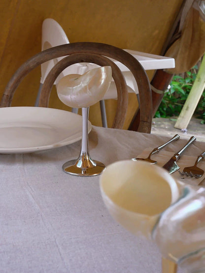 Seashell Enchanté Cup™️ Set of 2